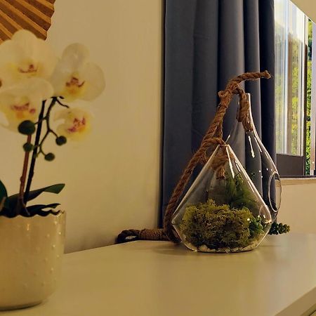 Stylish And Elegant Studio - Best View And Location In Coimbra Downton Exterior foto